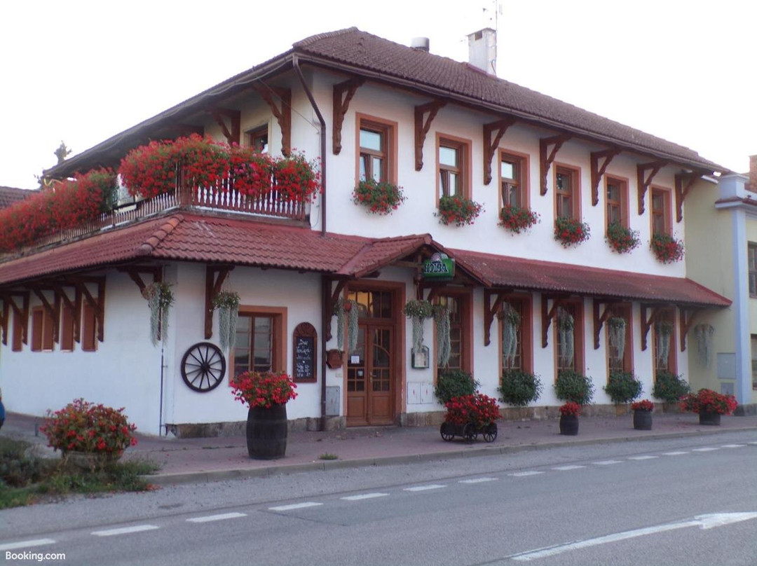 Penzion Restaurace u Helferu主图