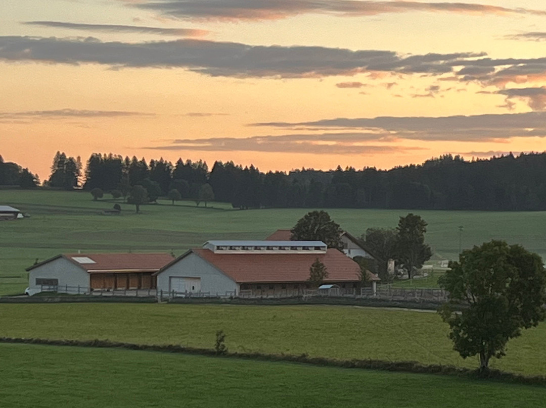 Hôtel du Golf-Club Les Bois主图