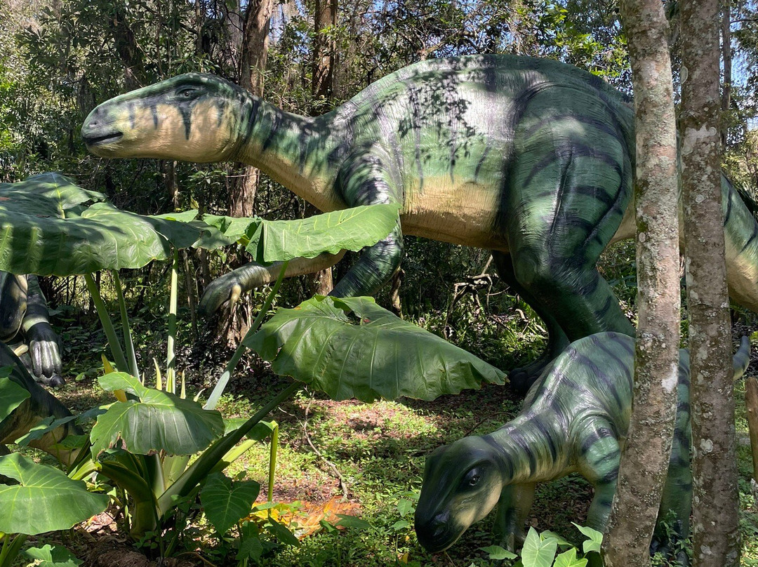 Dinosaur World-普兰特城必去景点