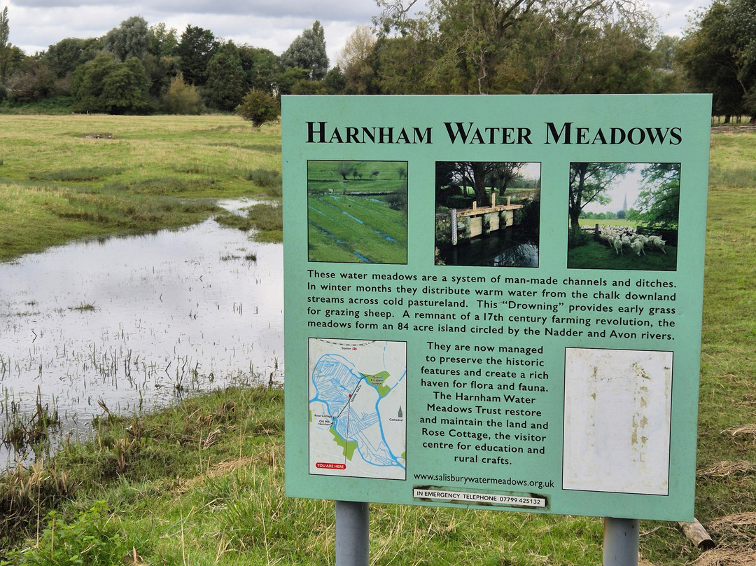 Harnham Water Meadows-索尔兹伯里必去景点