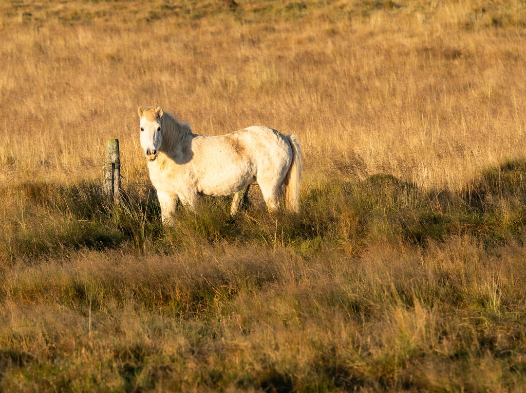 Hotel Nordurljos主图