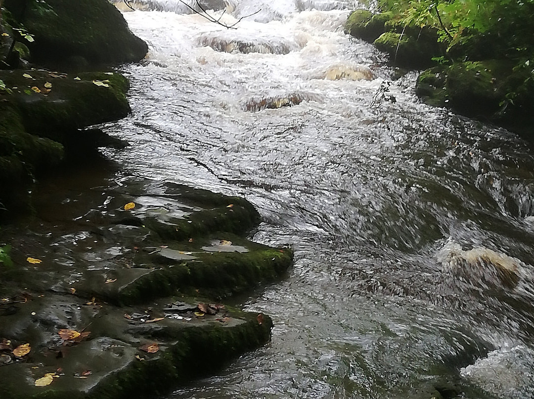 Clydach Gorge景点图片