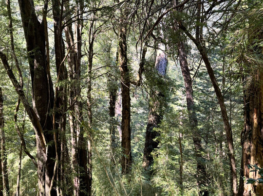 Ermitaño Expediciones-普孔必去景点