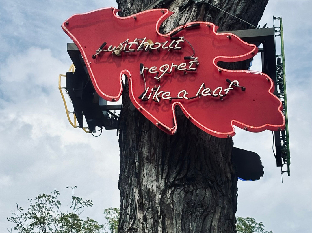 Laumeier Sculpture Park-圣路易斯必去景点