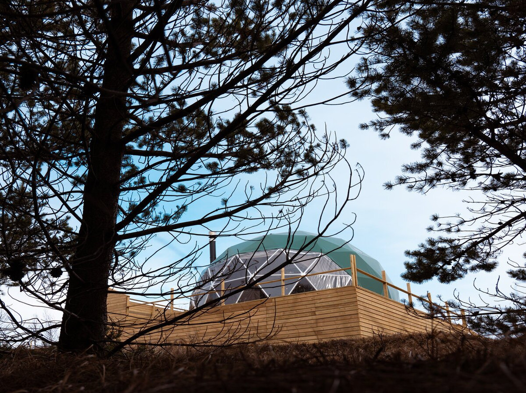 Golden Circle Domes - Lake View