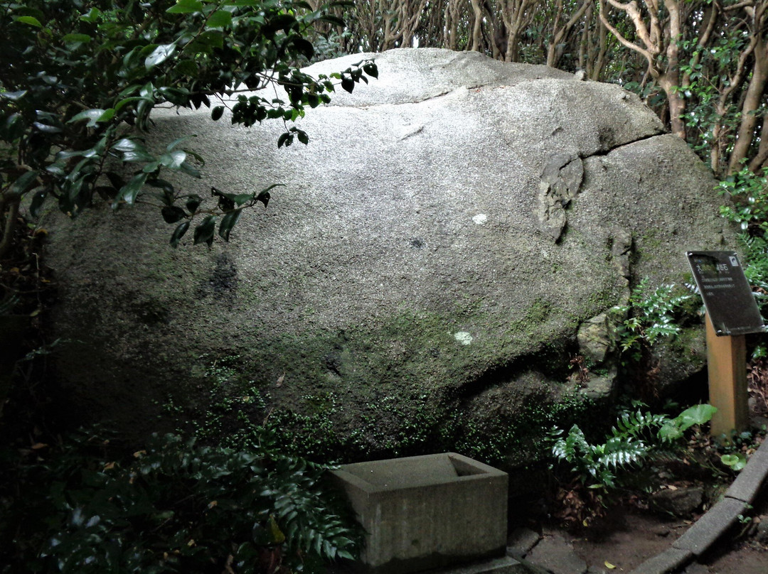 Ashizuri Nature Trail Ashizuri Nanafushigi-土佐清水市必去景点