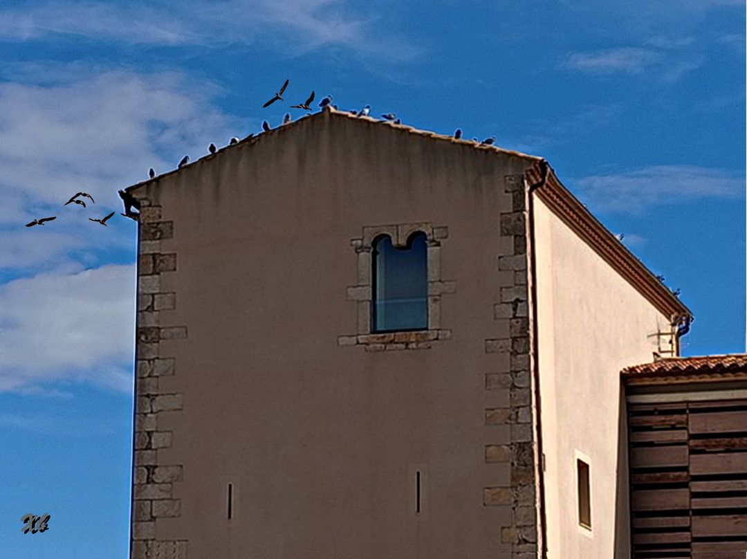Iglesia de Sant Esteve景点图片