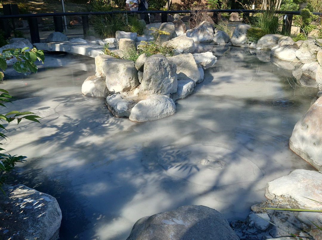 Oniishibozu Jigoku-别府市必去景点