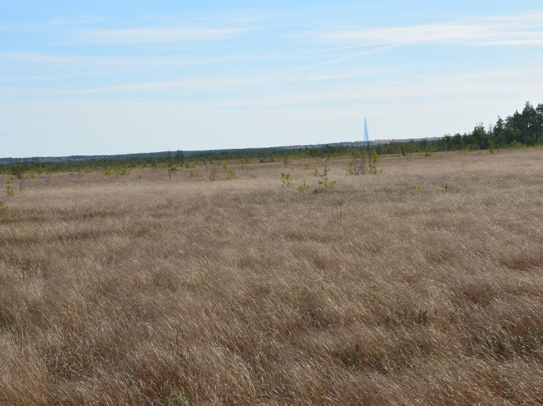 Eco Trail Sestroretskoye Swamp-Beloostrov必去景点