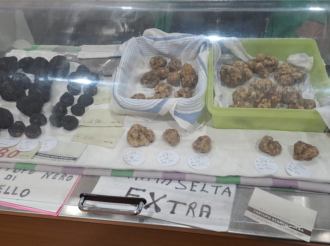 Alba International White Truffle Fair-阿尔巴必去景点