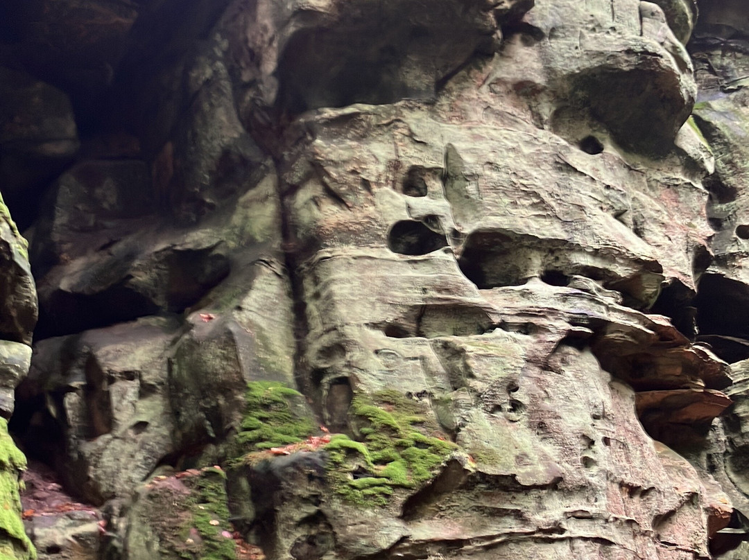 Naturparkzentrum Teufelsschlucht景点图片