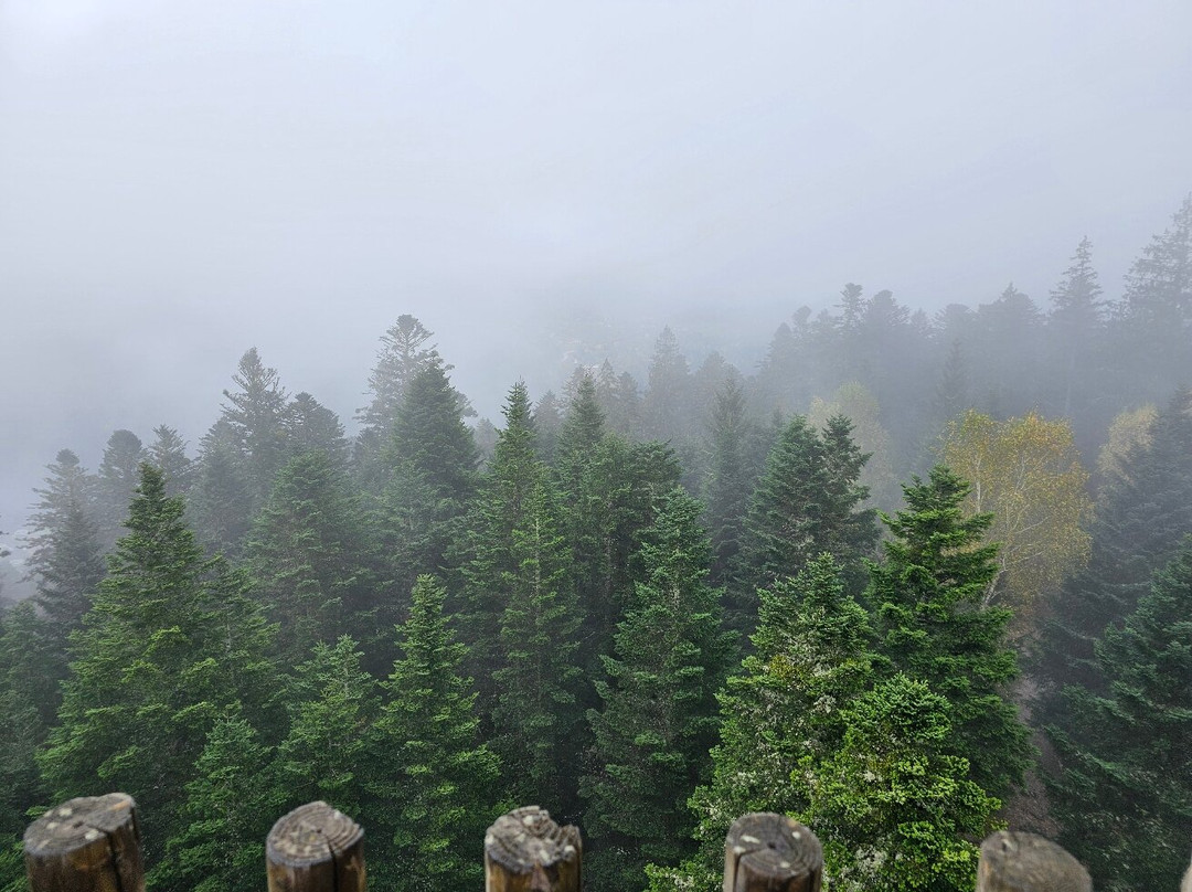 Observatoire de Merelle景点图片