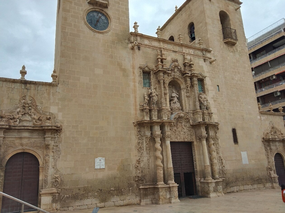 Basilica Santa Maria景点图片