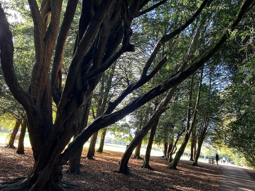 Boultham Park景点图片