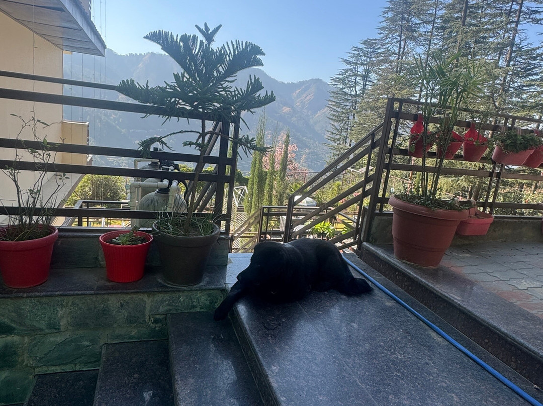 Zostel Homes Mashobra (shimla)主图