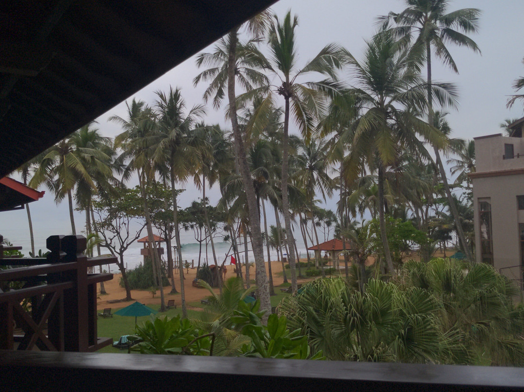 皇家棕榈滩大酒店主图