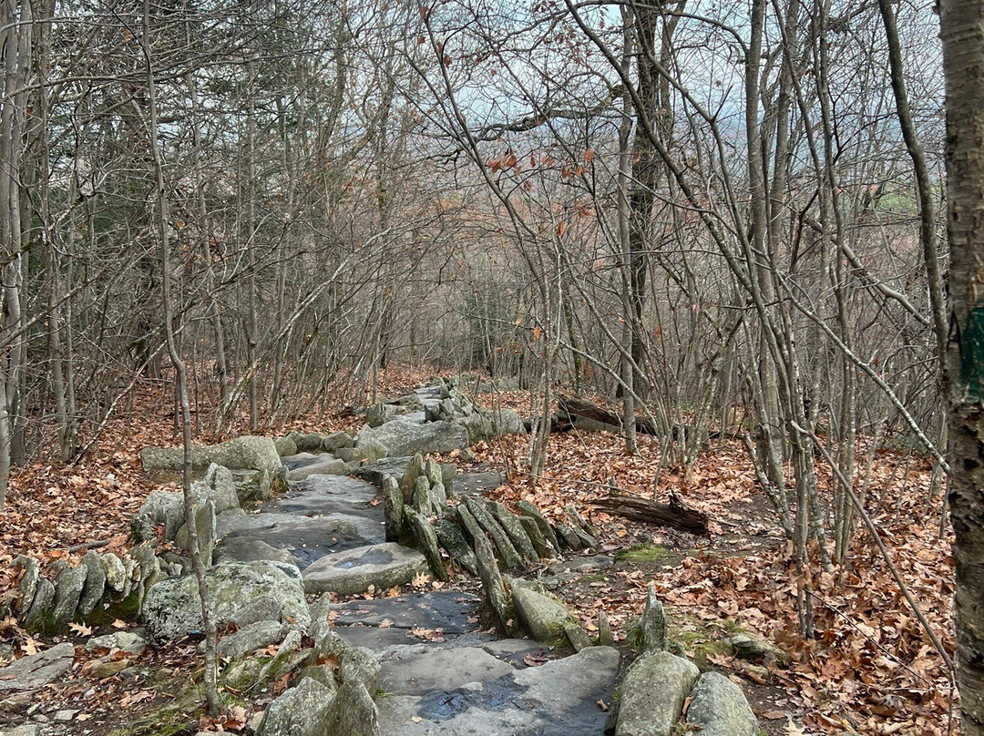 Wachusett Mountain State Reservation-Princeton必去景点