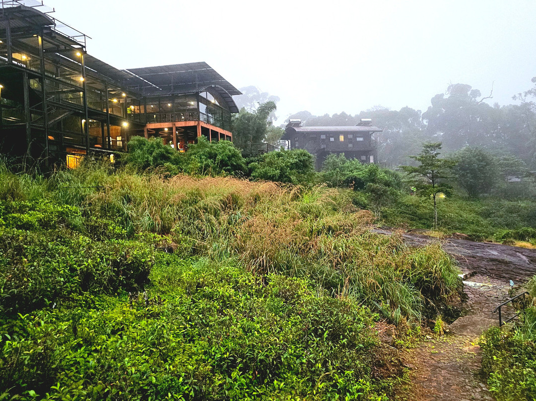 Rainforest Ecolodge主图