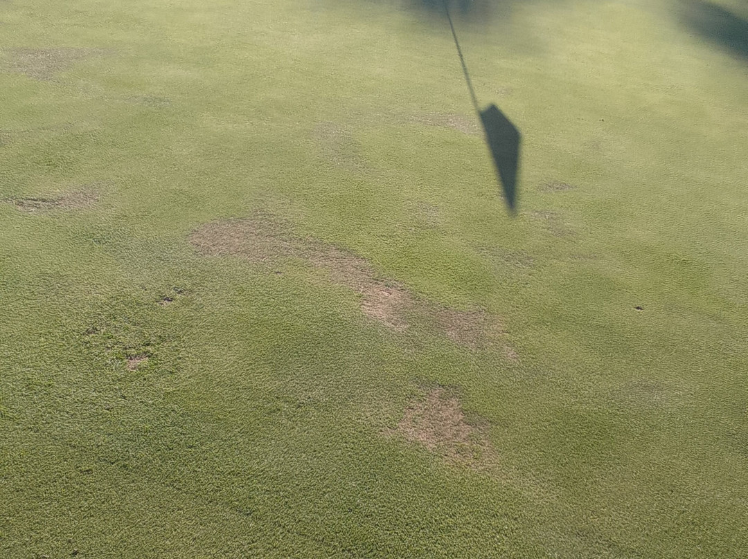 Estepona Golf景点图片