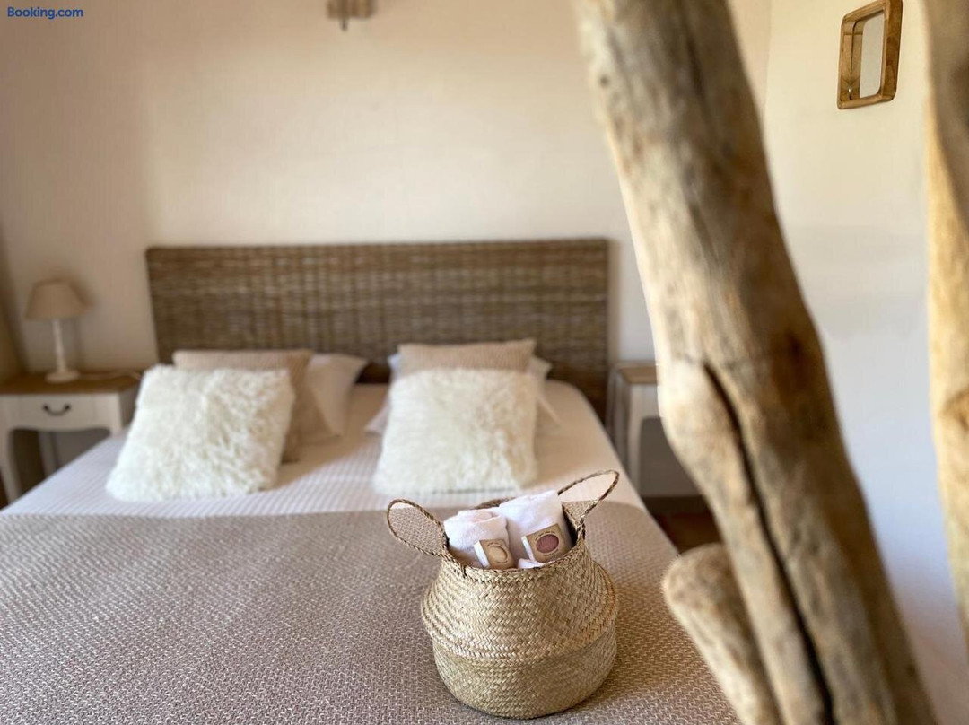 Communaute de Communes de la Vallee du Prunelli酒店住宿-L'Alivetu Chambres D'Hotes