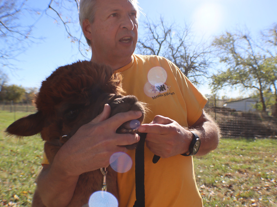 Manna Meadows Alpacas-Bonner Springs必去景点