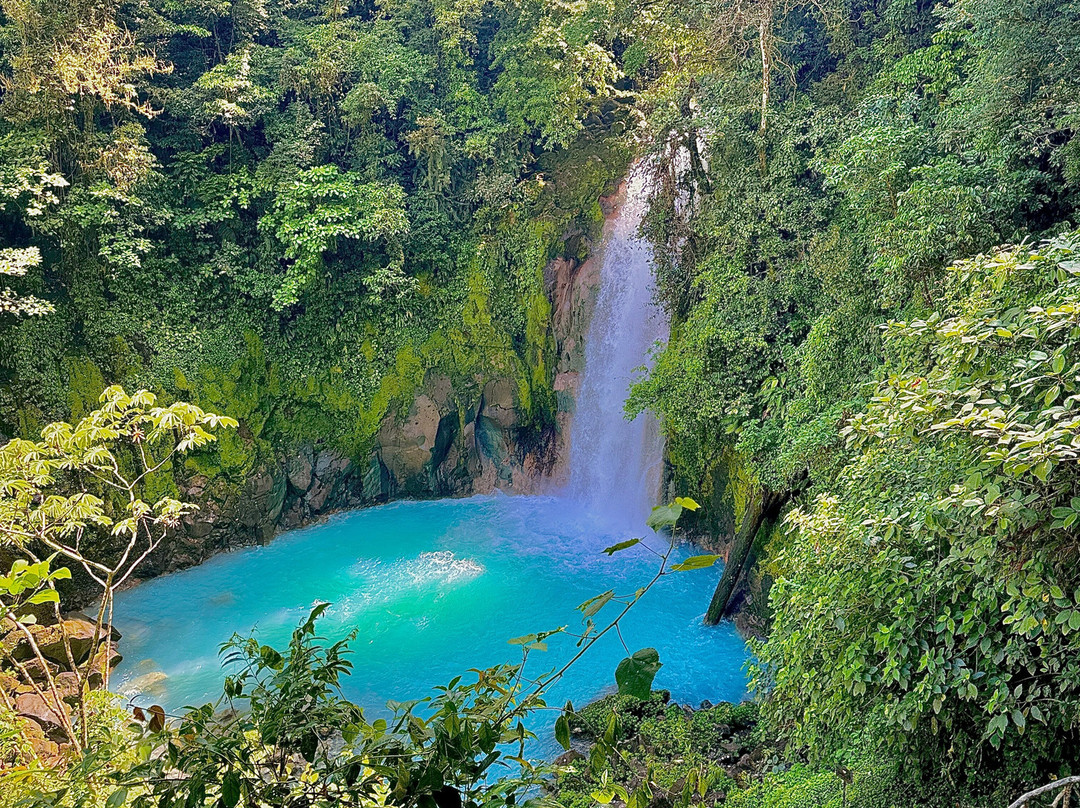 Rio Celeste By Chris Tours景点图片