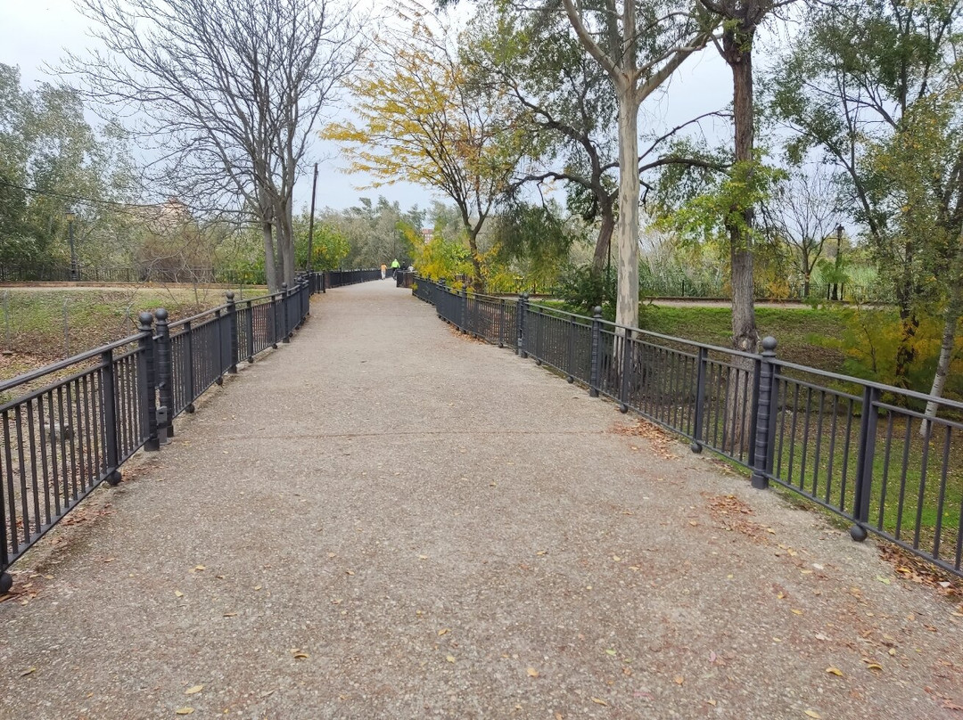 Puente Romano景点图片