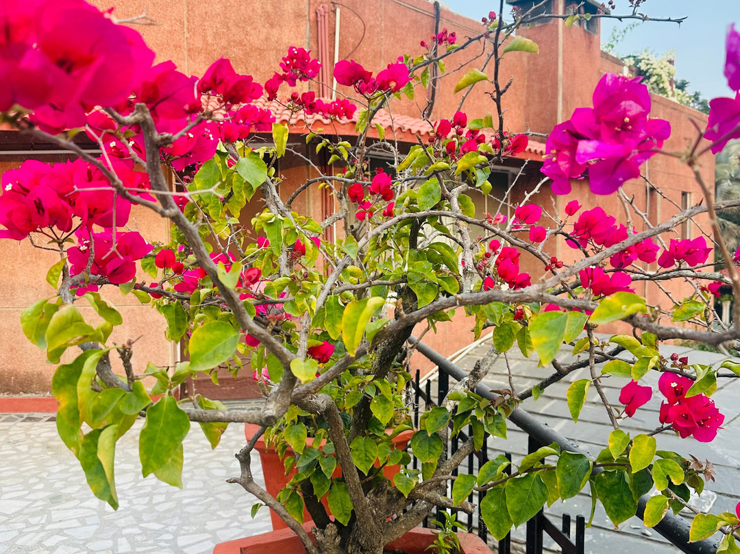 Lohono Stays Homestead主图