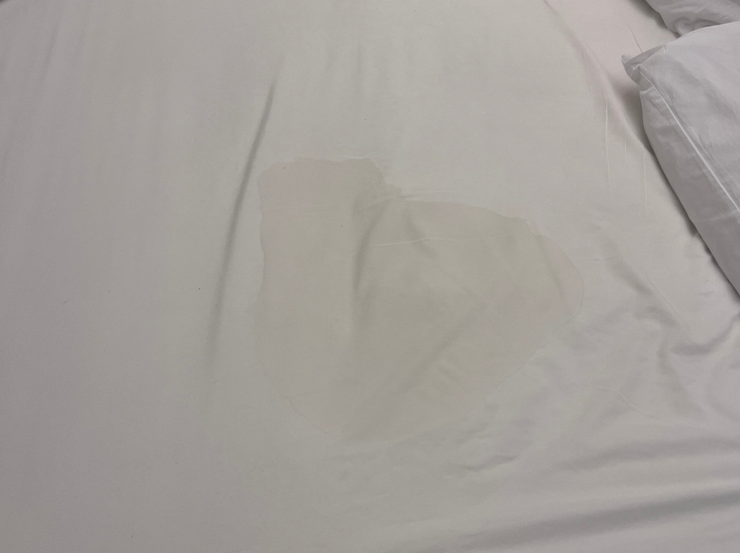 Holiday Inn Detroit Northwest - Livonia By IHG主图