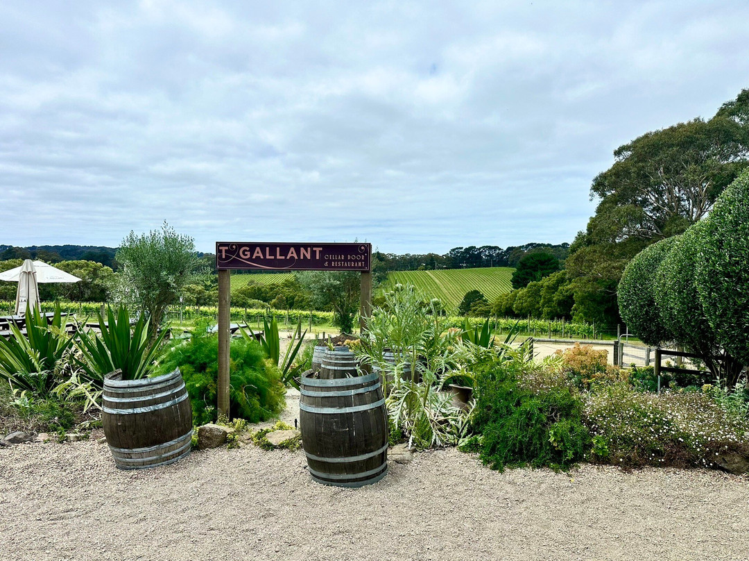 T'Gallant Vineyard景点图片