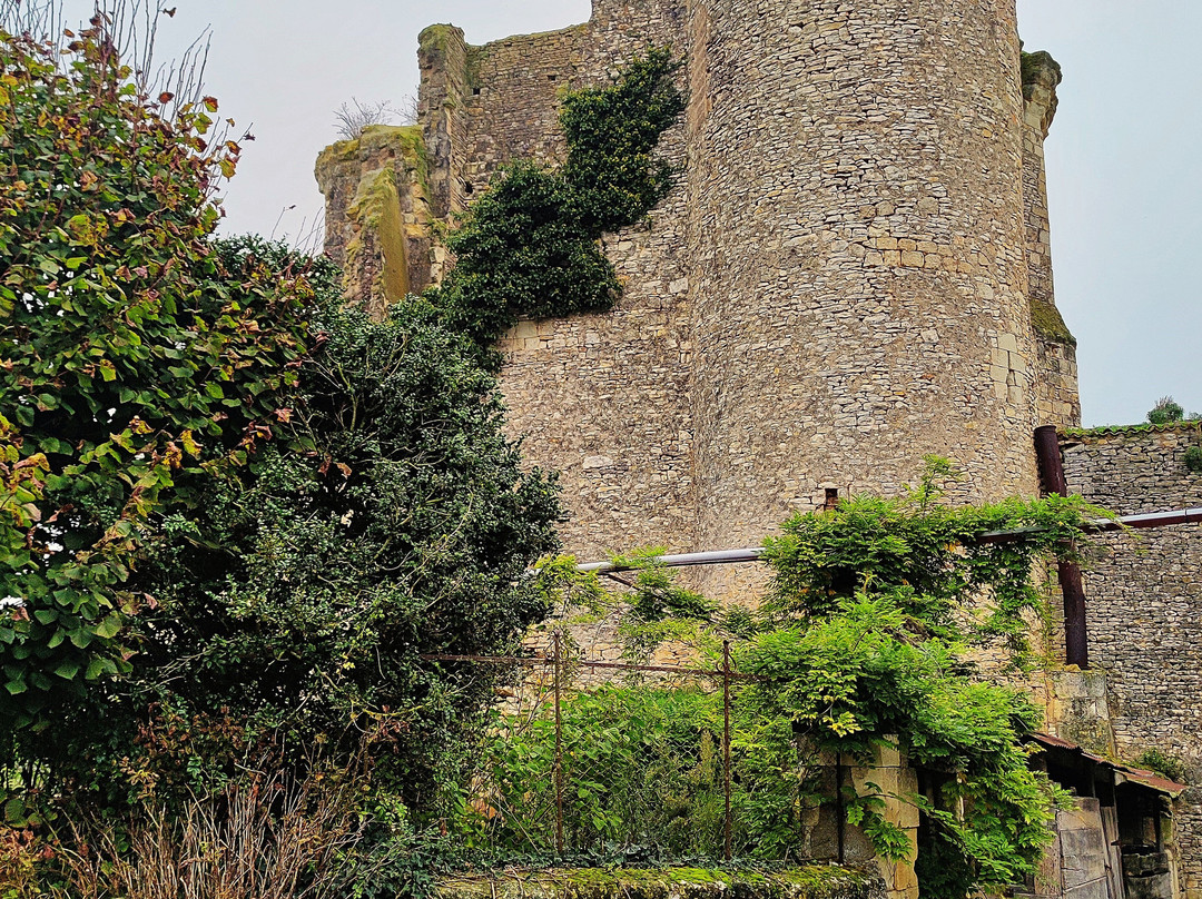 Château Du Bois Gourmond À Loudun景点图片