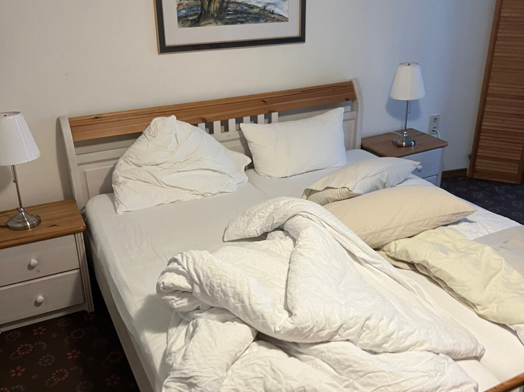 Pension Alte Scheune主图