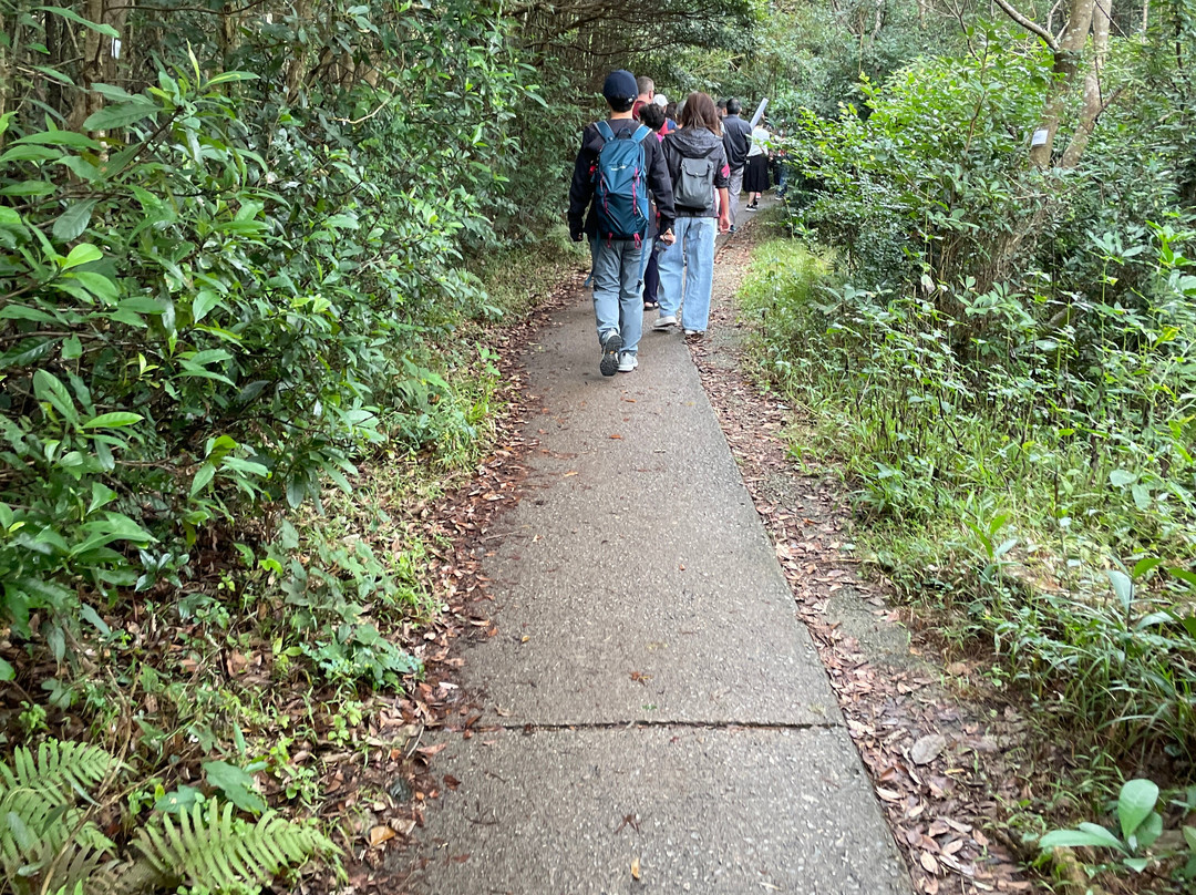心经简林-香港必去景点