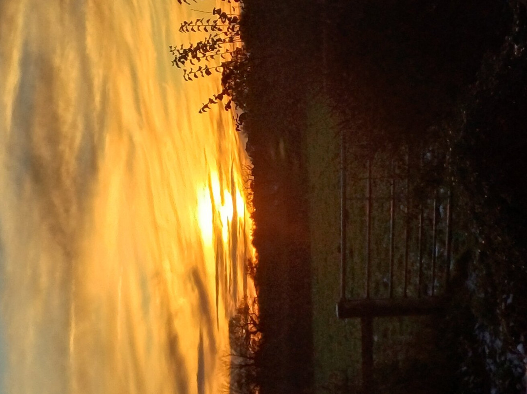 The Three Lions主图