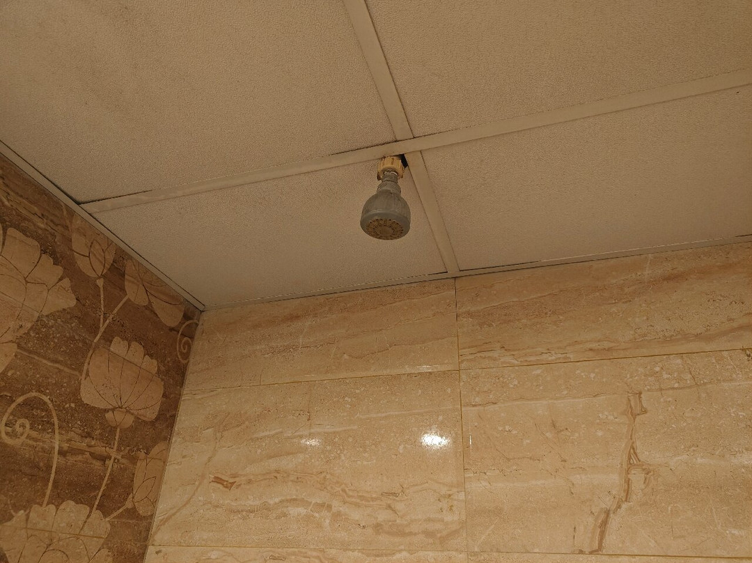 Hotel Patliputra Nirvana