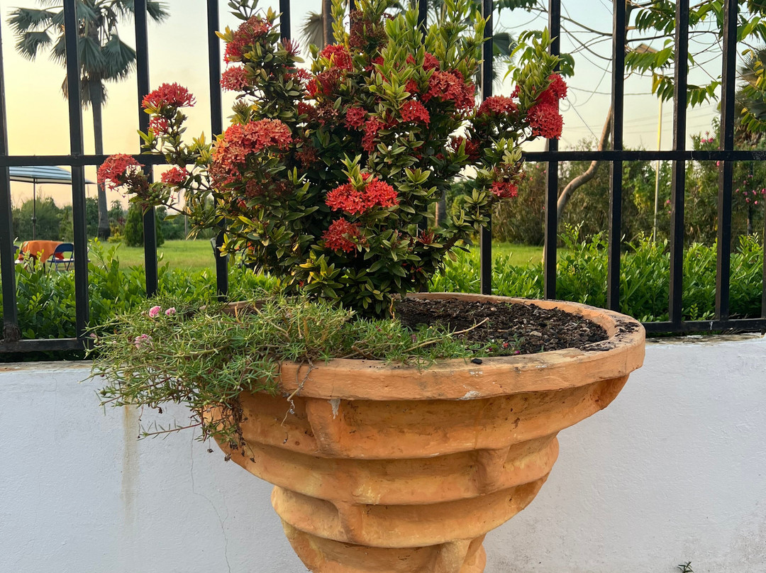 Harmony Resort Boutique Hotel主图