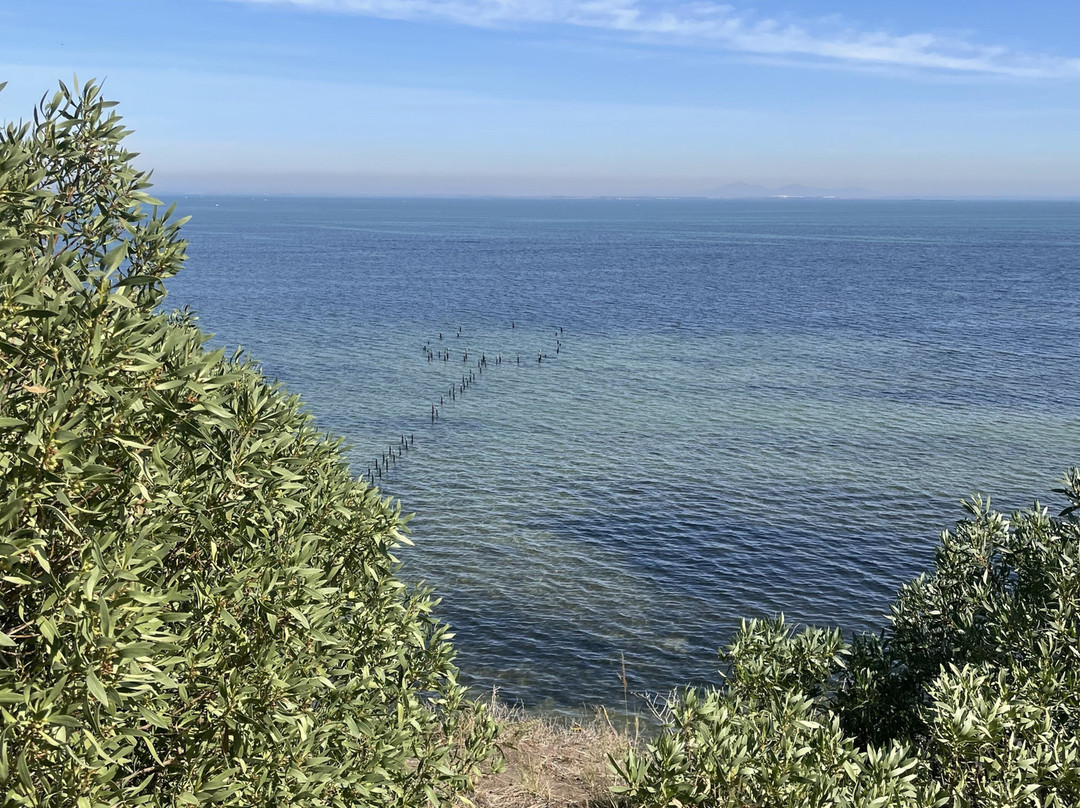 The Dell Picnic Area-Clifton Springs必去景点