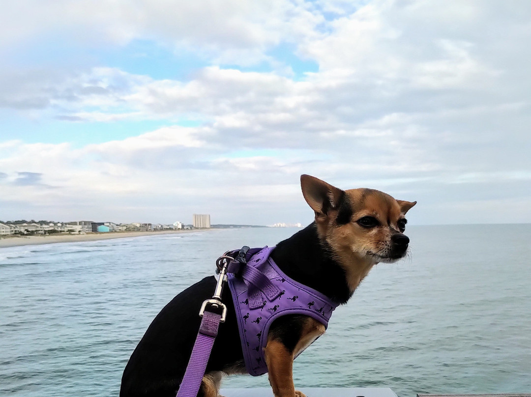 The Surfside Beach Pier-Surfside Beach必去景点