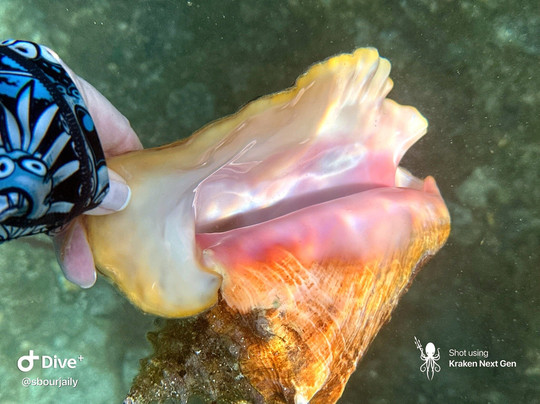 Caribbean Blue Boat Charters-夏洛特阿马利亚必去景点