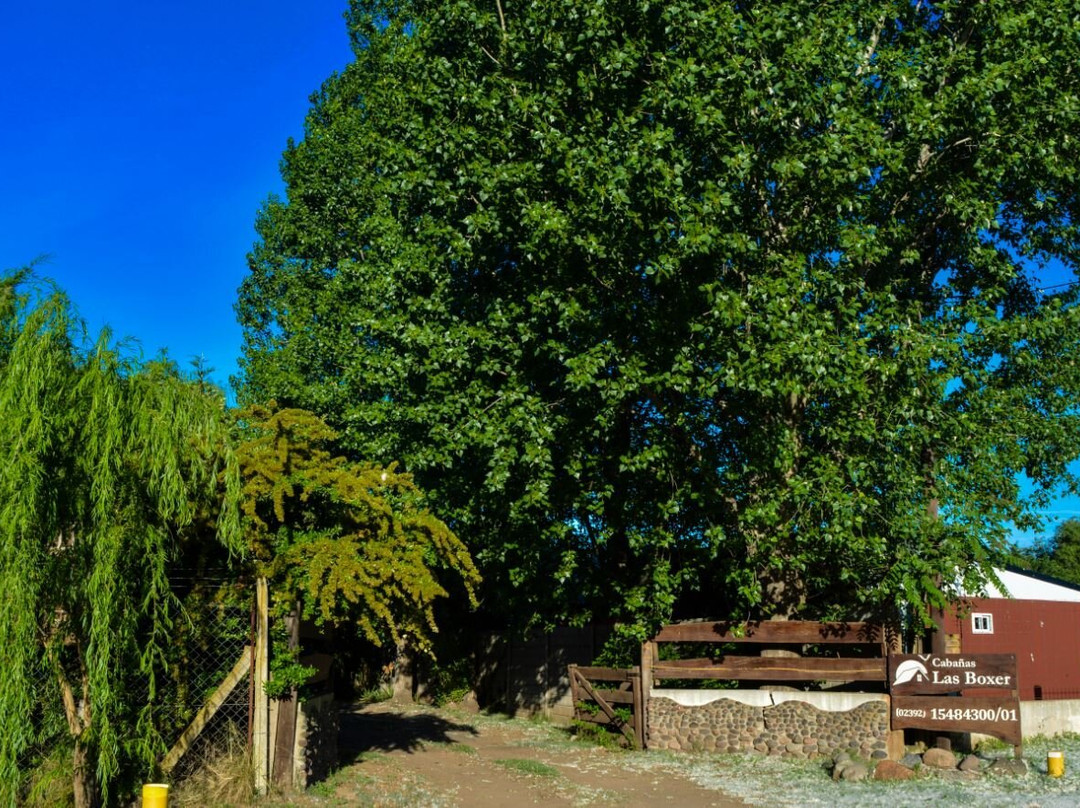 Cabañas Las Boxer