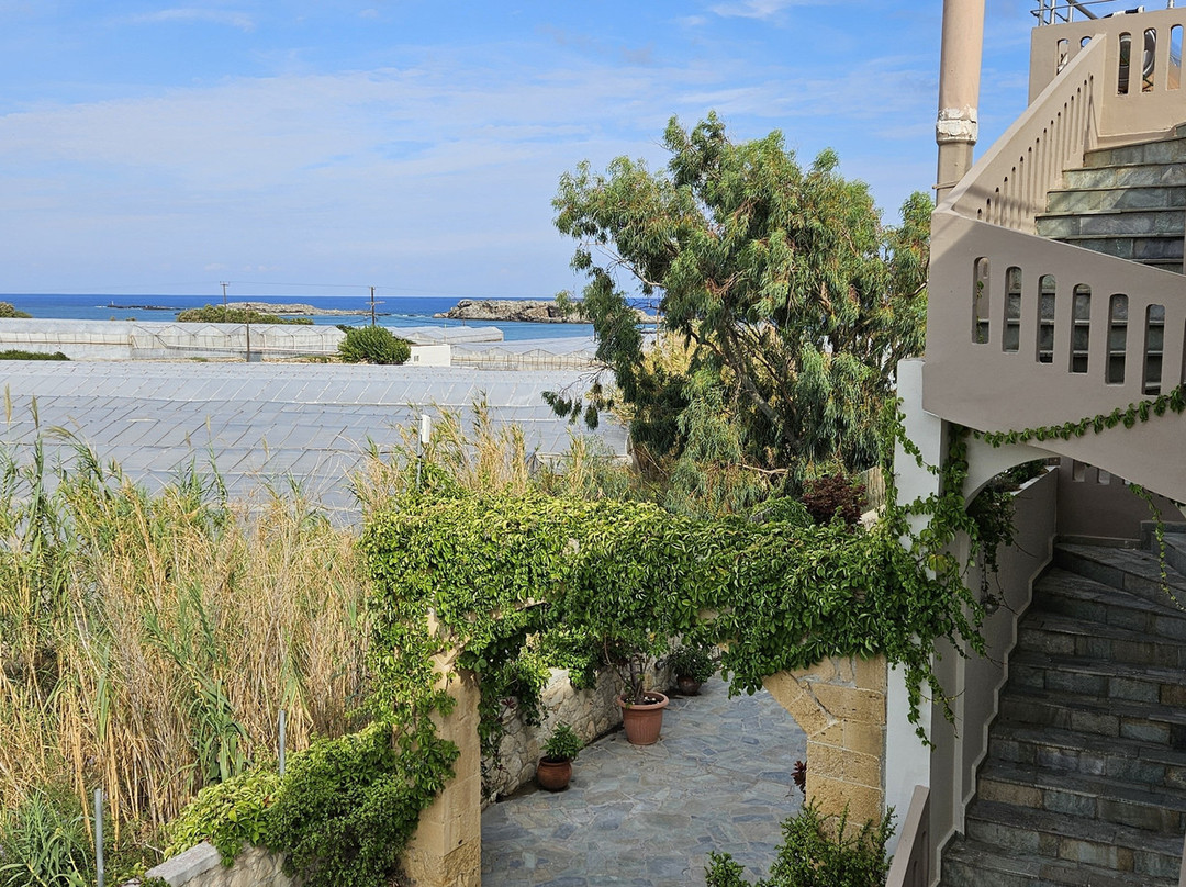 Petritos Hotel主图