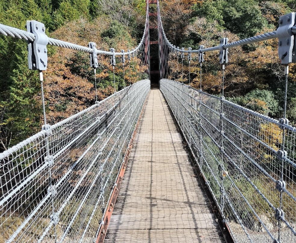 Tara Canyon-大垣市必去景点