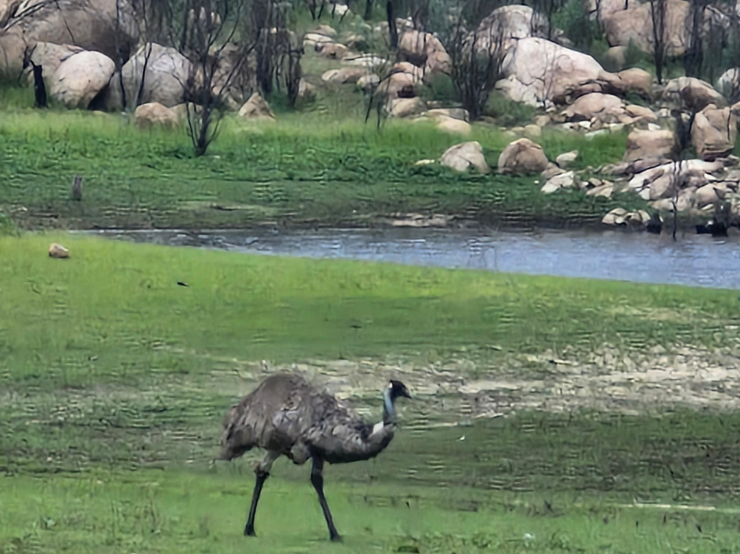 Copeton Dam景点图片