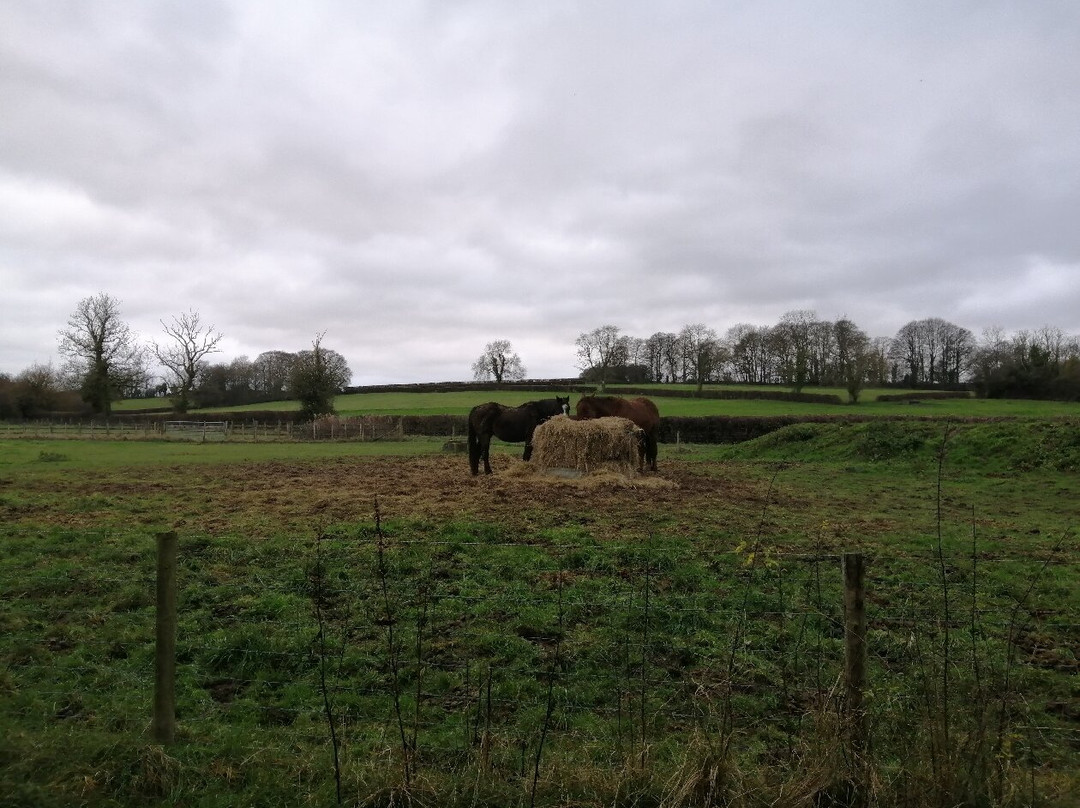 Bourton To Lower Slaughter Walk-水上伯顿必去景点