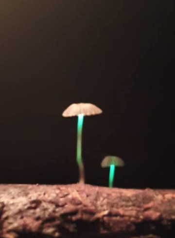 Experiencias Amazonicas Agencia-莱蒂西亚必去景点