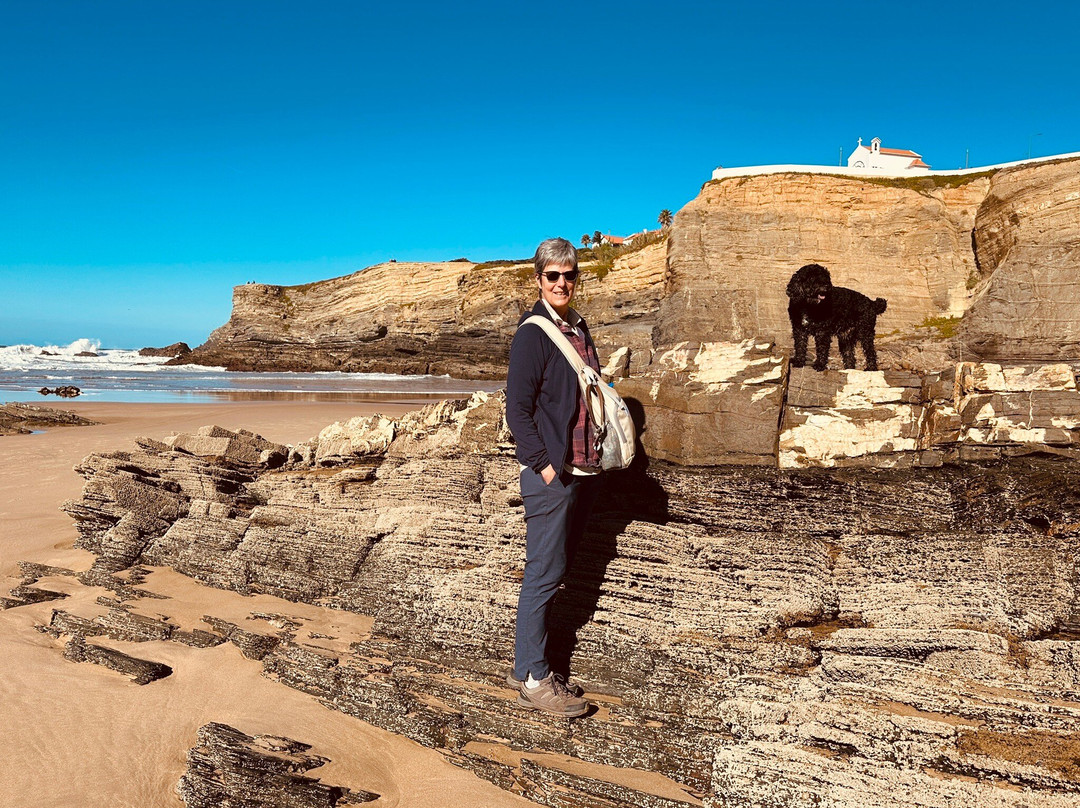 Praia de Zambujeira do Mar景点图片