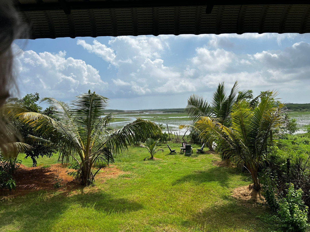 Bundala Flamingo Cottages主图