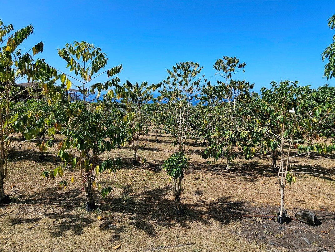 大视野农场景点图片
