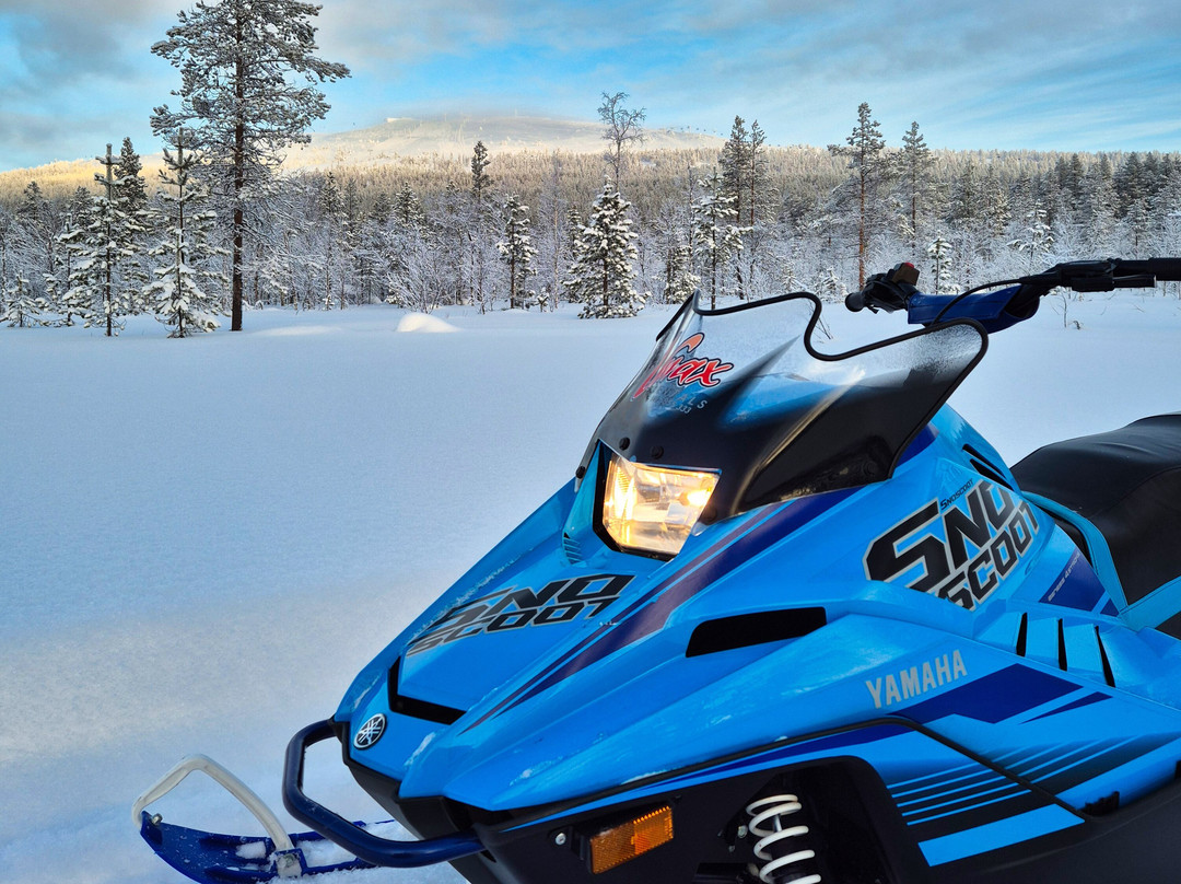 Vmax Rentals-Levi必去景点