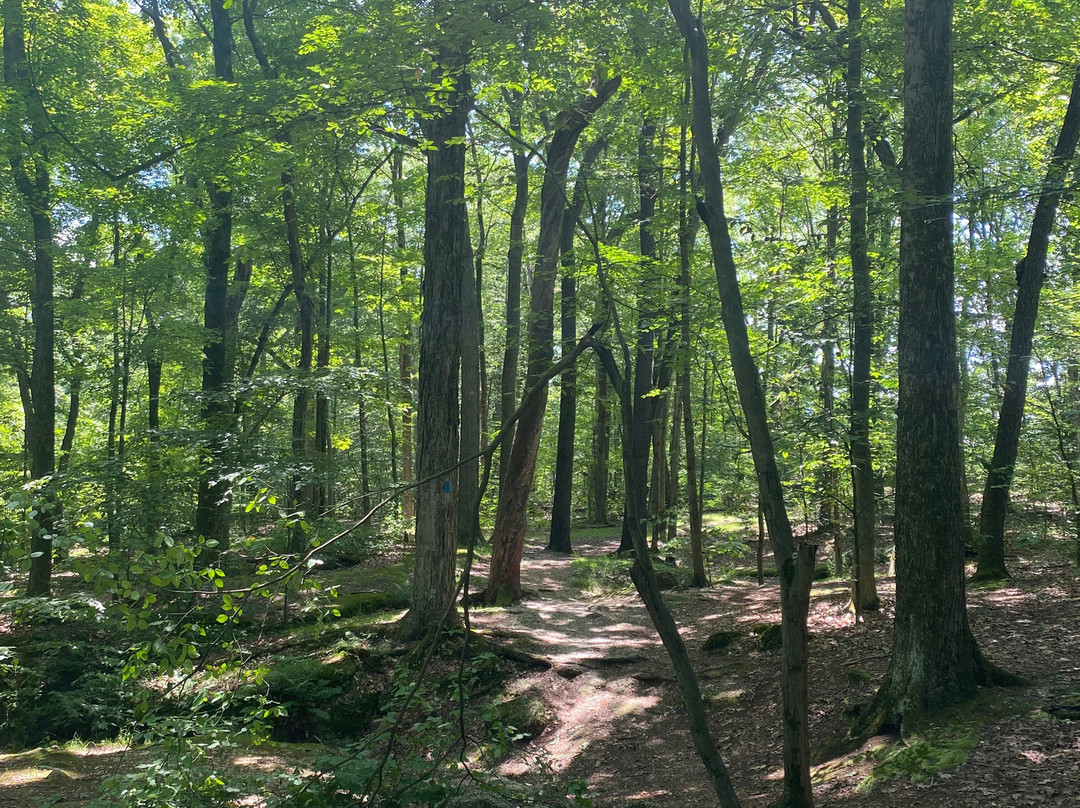 Nelson-Kennedy Ledges State Park景点图片